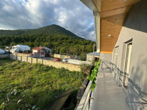 Gabala Garden House